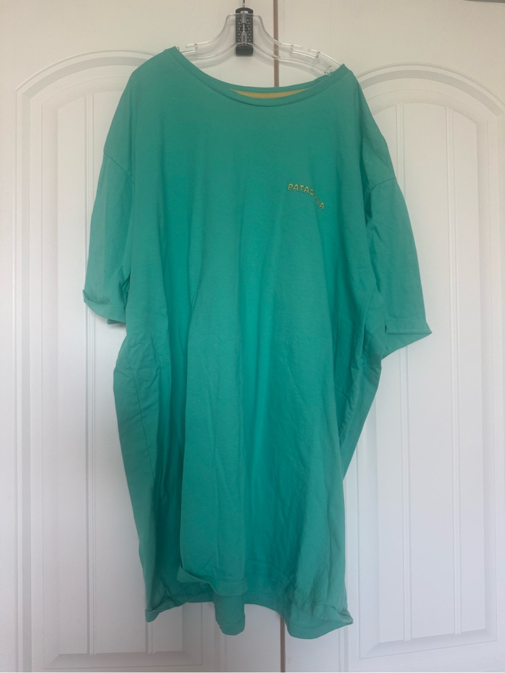 Patagonia Turquoise Tee print on the back size XL